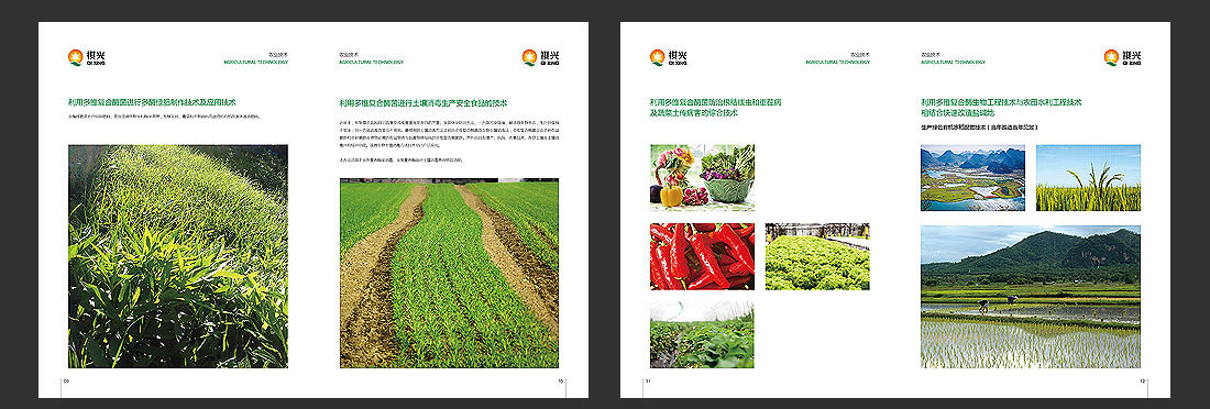 祺興生物公司高檔畫(huà)冊(cè)設(shè)計(jì)-5