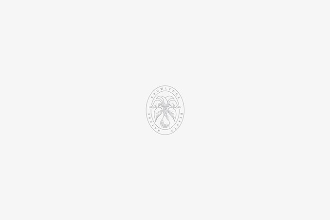 化妝品商標怎么設計？化妝品商標設計欣賞-4